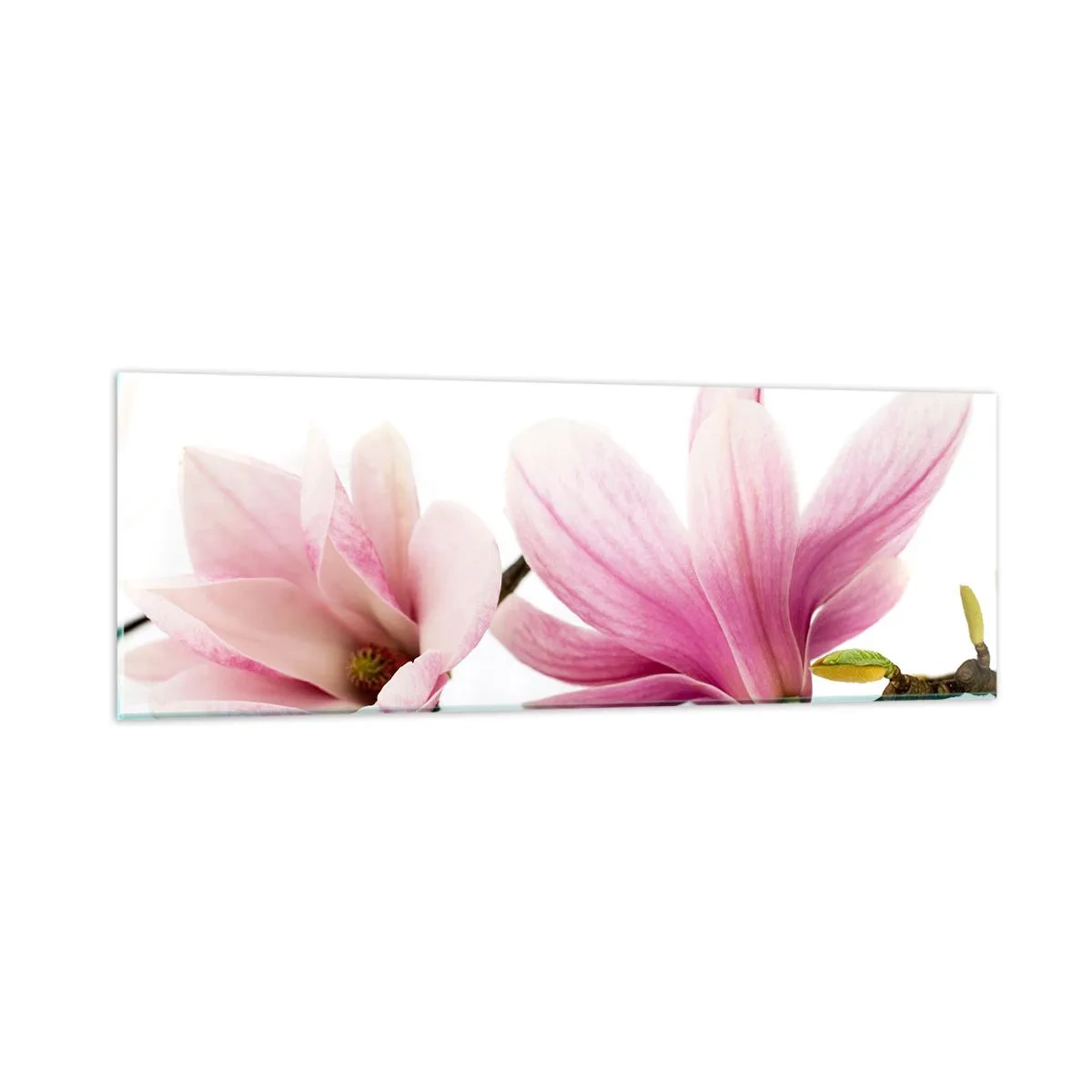 Cuadro sobre vidrio - Impresiones sobre Vidrio - Suave como un soplo de primavera - 90x30 cm