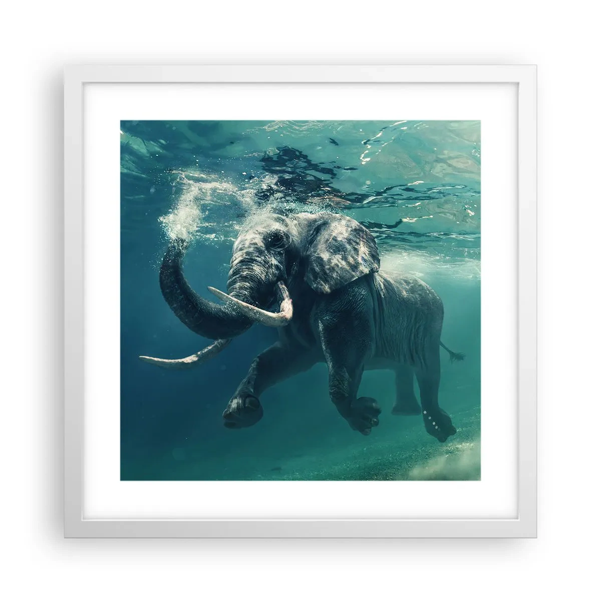 Póster en marco blanco - A todos nos gusta nadar - 40x40 cm