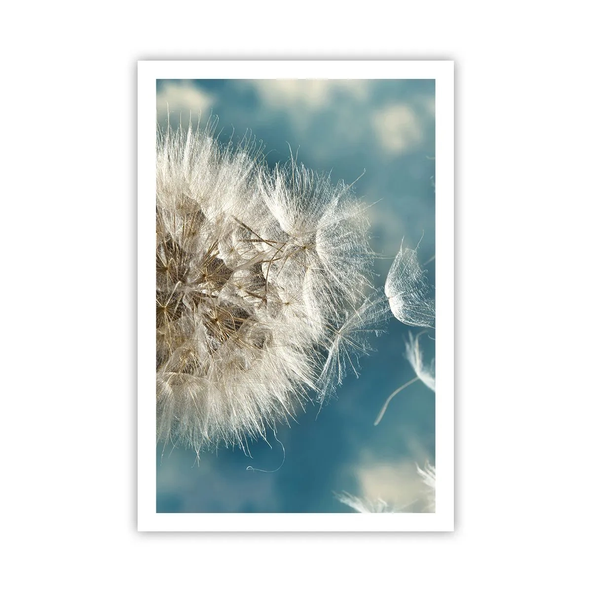 Póster - El aliento de un ángel - 61x91 cm