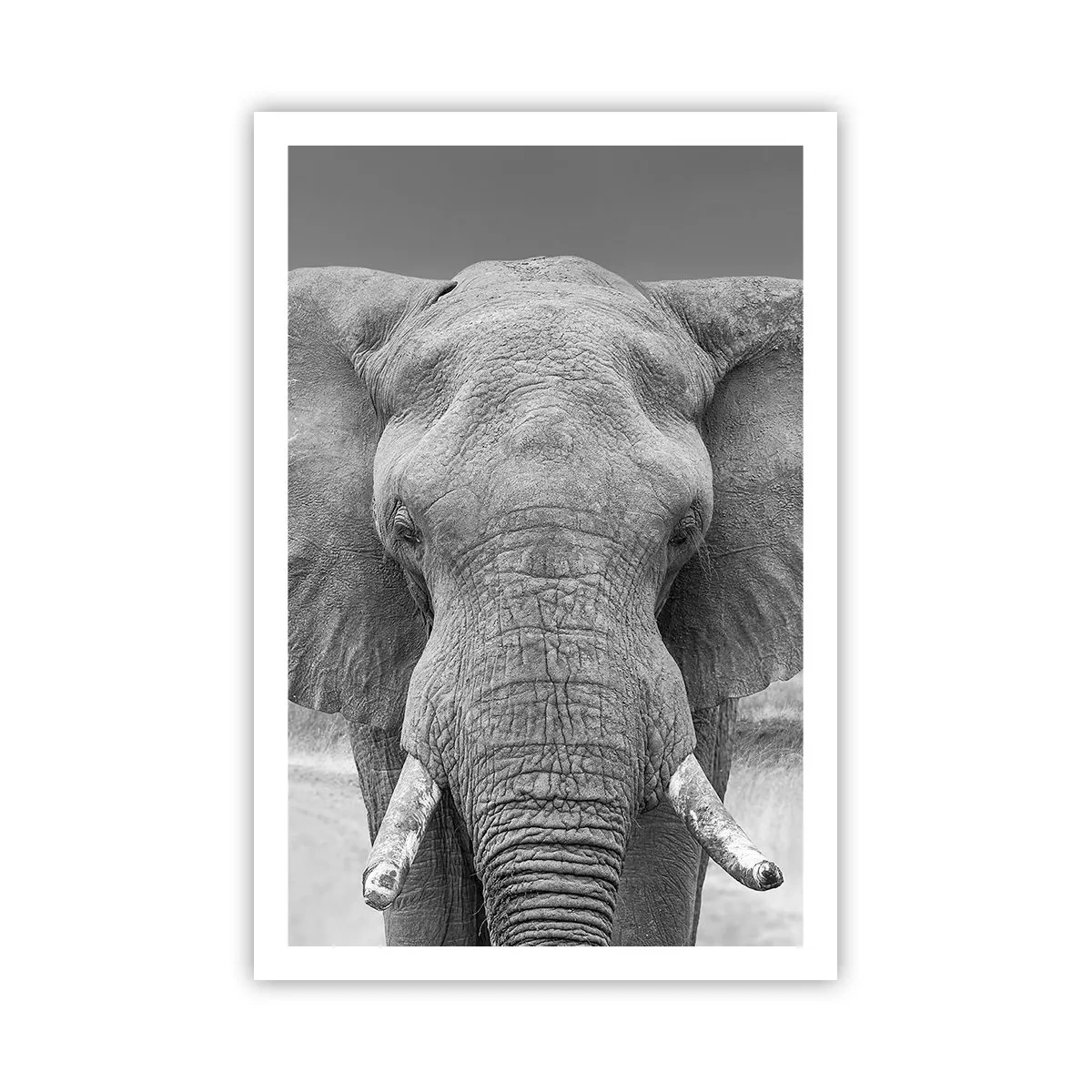 Póster - Bienvenido a mi mundo - 61x91 cm