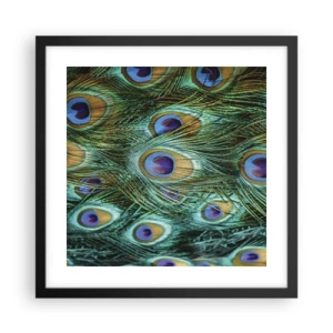 Póster en marco negro - Mirada de pavo real - 40x40 cm