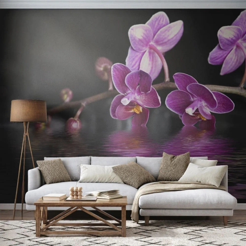 Fotomural Premium Sand - Un reflejo lila de la belleza - flores, Orquídea, Naturaleza - 350x256 cm