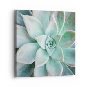 Cuadro sobre lienzo - Impresión de Imagen - El corazón del desierto - 40x40 cm