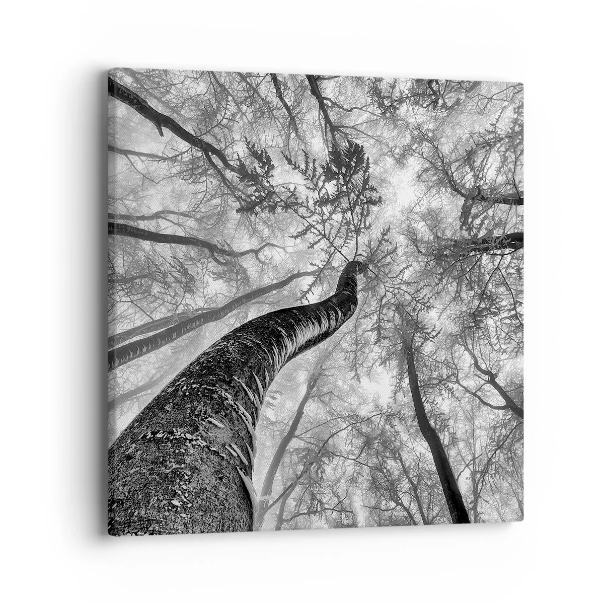 Cuadro sobre lienzo - Impresión de Imagen - Carrera hacia la luz - 40x40 cm