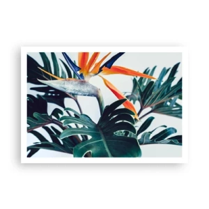 Póster - Flor de Strelitzia rodeada de hojas bajo una luz brillante. - 100x70cm - La jaula del pájaro colorido - Decoración de pared moderna para salón y dormitorio ARTTOR