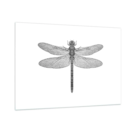 Cuadro sobre vidrio - Impresiones sobre Vidrio - Ilustración detallada de una libélula en estilo grabado sobre un fondo blanco. - 100x70cm - Precisión de la naturaleza - Decoración de pared moderna para salón y dormitorio ARTTOR