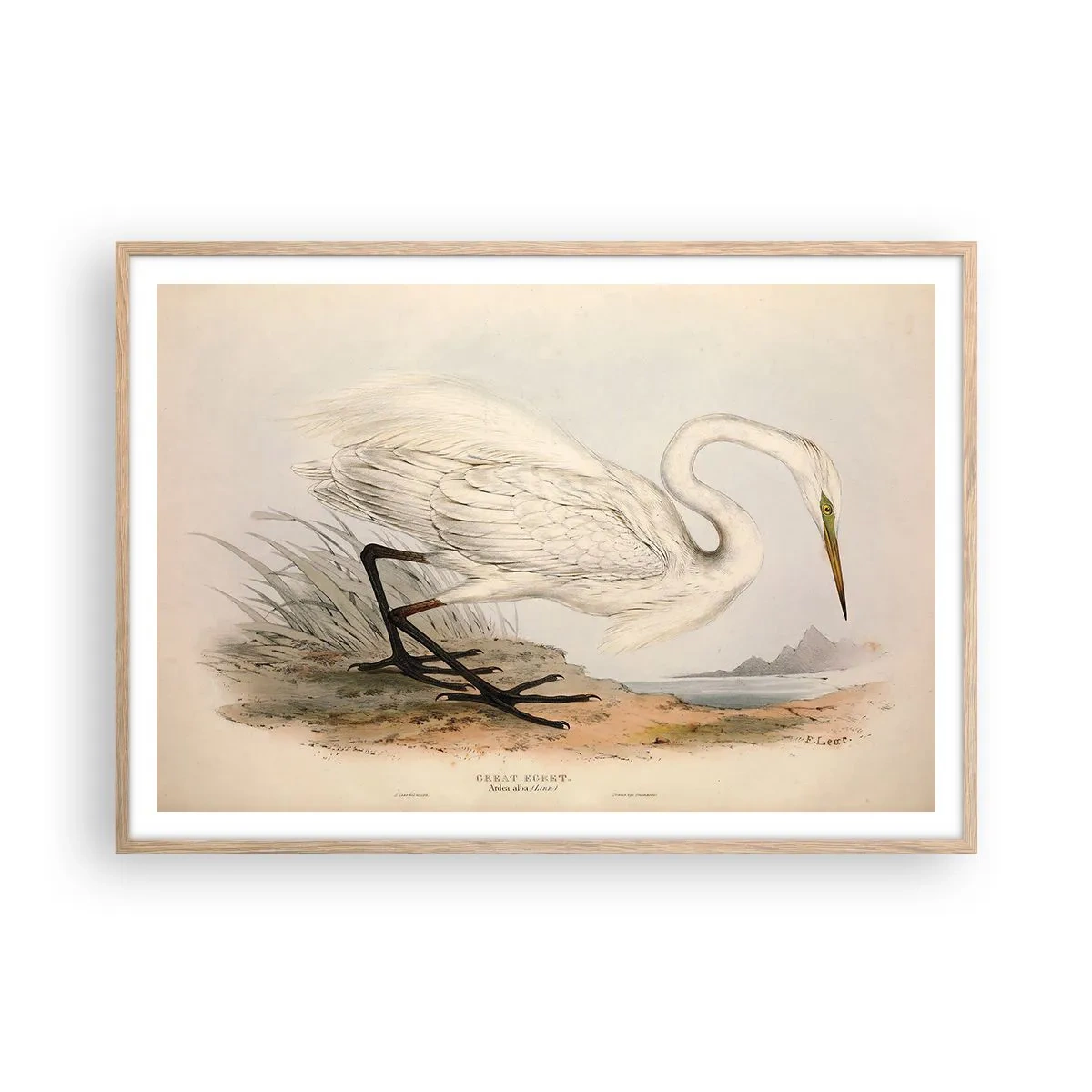 Póster en marco roble claro - Dama de los juncos - 100x70 cm