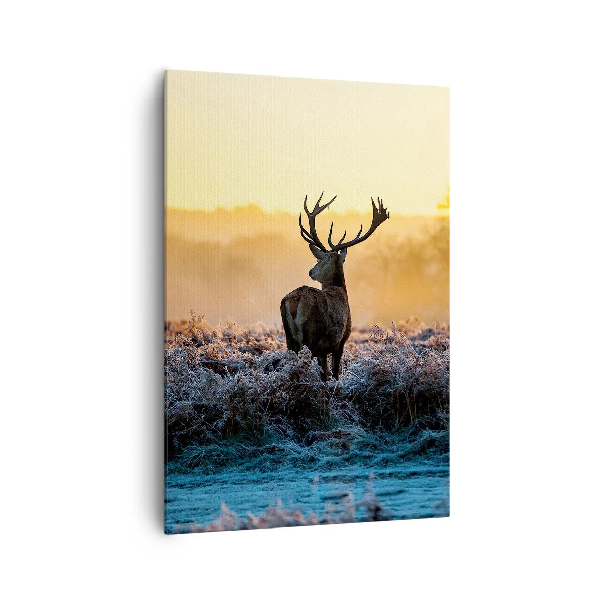 Cuadro sobre lienzo - Impresión de Imagen - Un ciervo en un claro helado al amanecer. - 70x100cm - Coronado en sus propios dominios - Decoración de pared moderna para salón y dormitorio ARTTOR