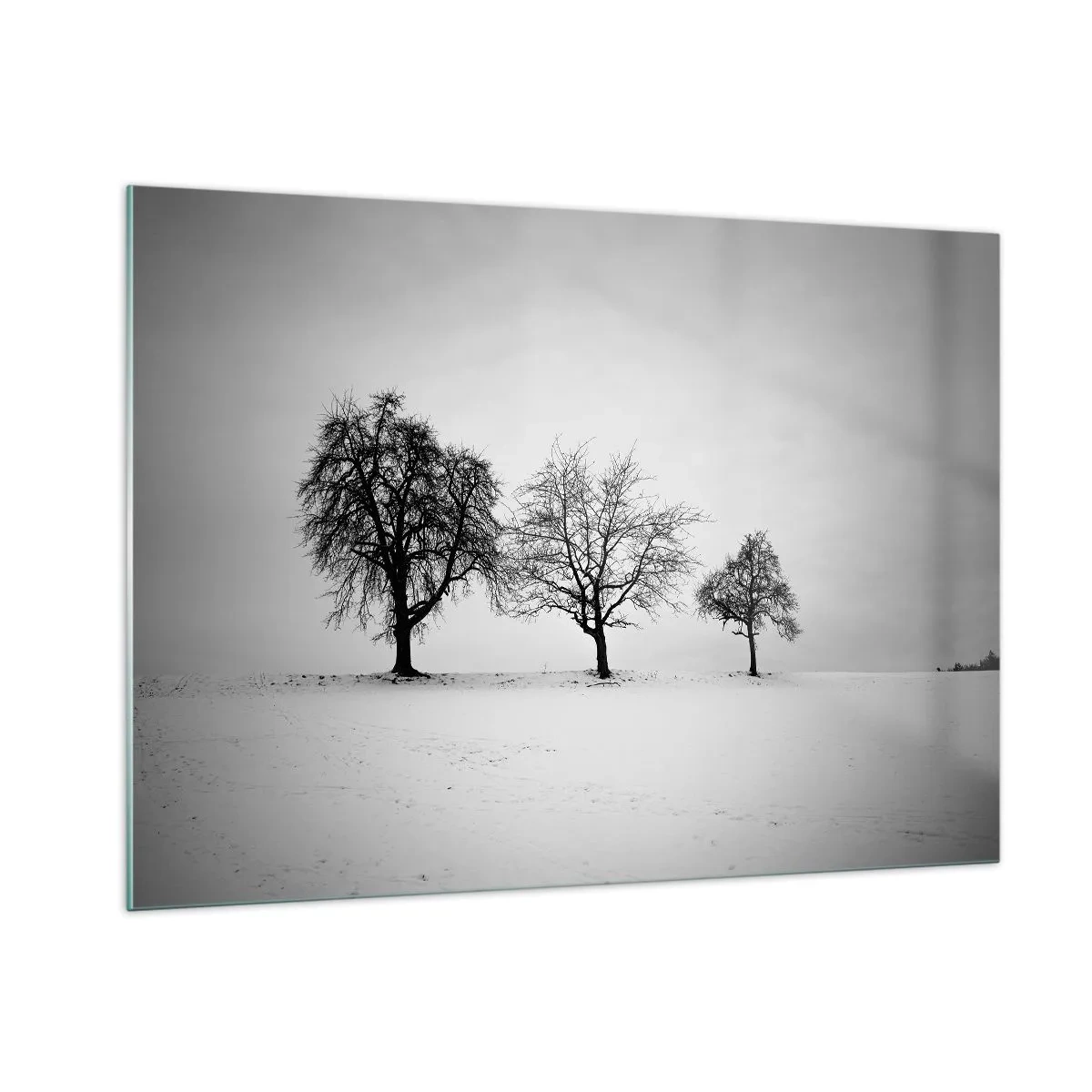 Cuadro sobre vidrio - Impresiones sobre Vidrio - Tres árboles solitarios en una zona cubierta de nieve. - 100x70cm - ¿Con qué sueñan? - Decoración de pared moderna para salón y dormitorio ARTTOR