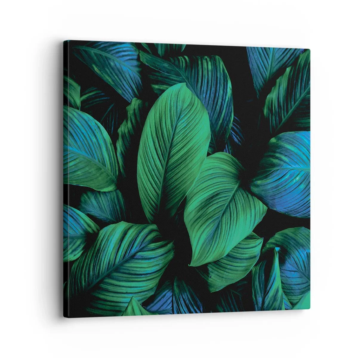 Cuadro sobre lienzo - Impresión de Imagen - En la multitud verde - 30x30 cm