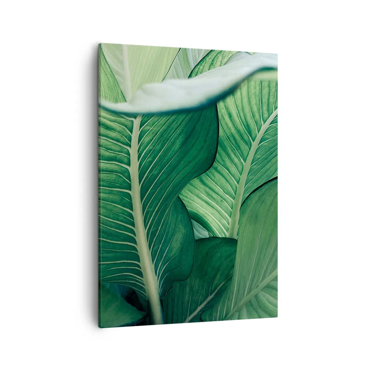 Cuadro sobre lienzo - Impresión de Imagen - Hojas verdes con detalles expresivos y estructura. - 50x70cm - Vida intensamente verde - Decoración de pared moderna para salón y dormitorio ARTTOR