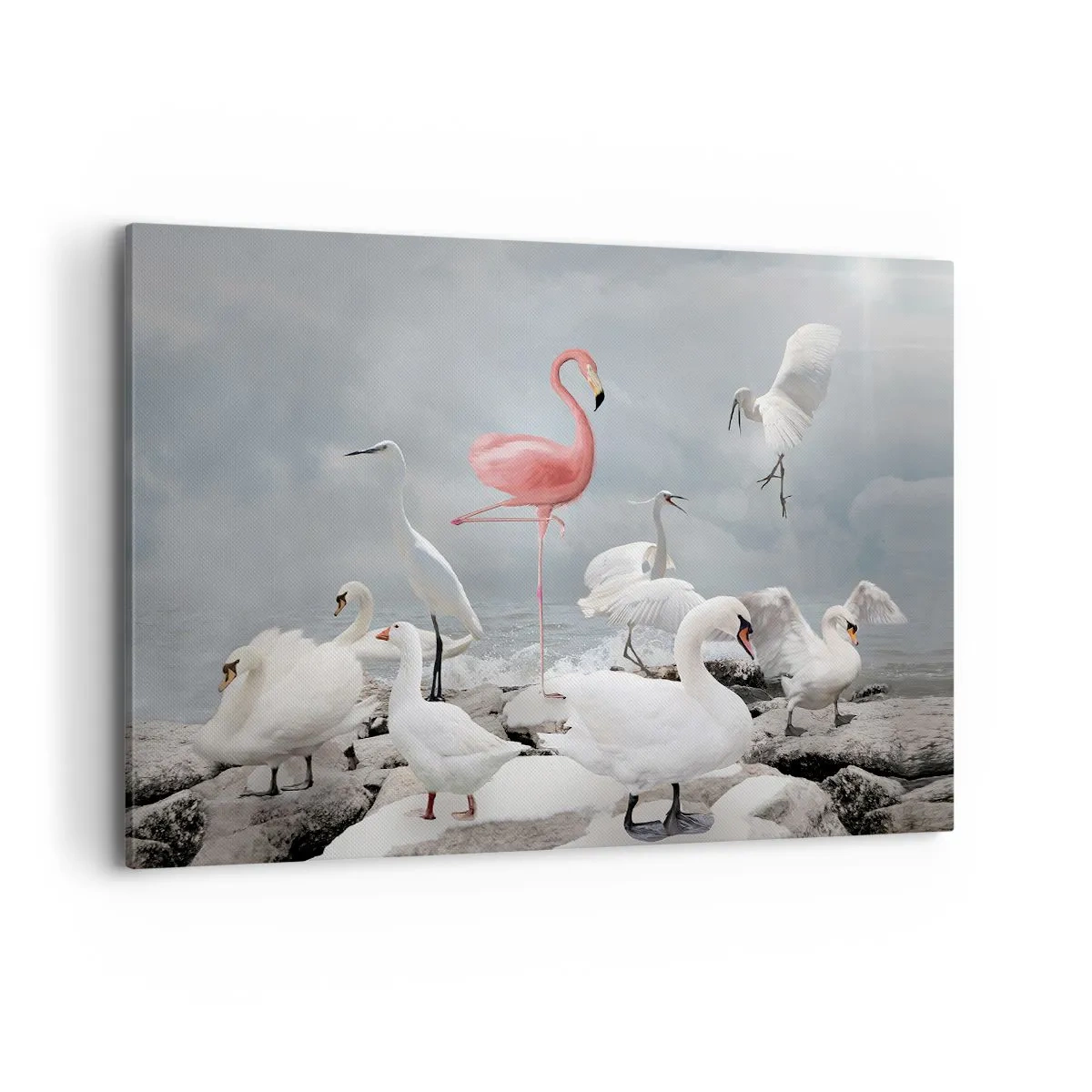 Cuadro sobre lienzo - Impresión de Imagen - Un flamenco rosado entre cisnes blancos con el fondo de un lago. - 120x80cm - ¿De dónde vengo? - Decoración de pared moderna para salón y dormitorio ARTTOR