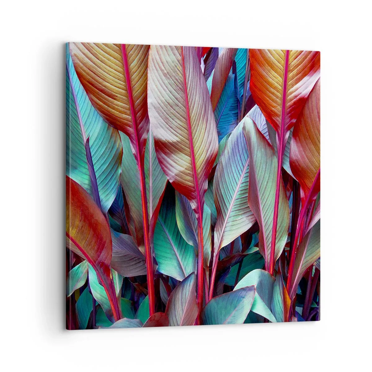 Cuadro sobre lienzo - Impresión de Imagen - Un matorral de colores - 60x60 cm