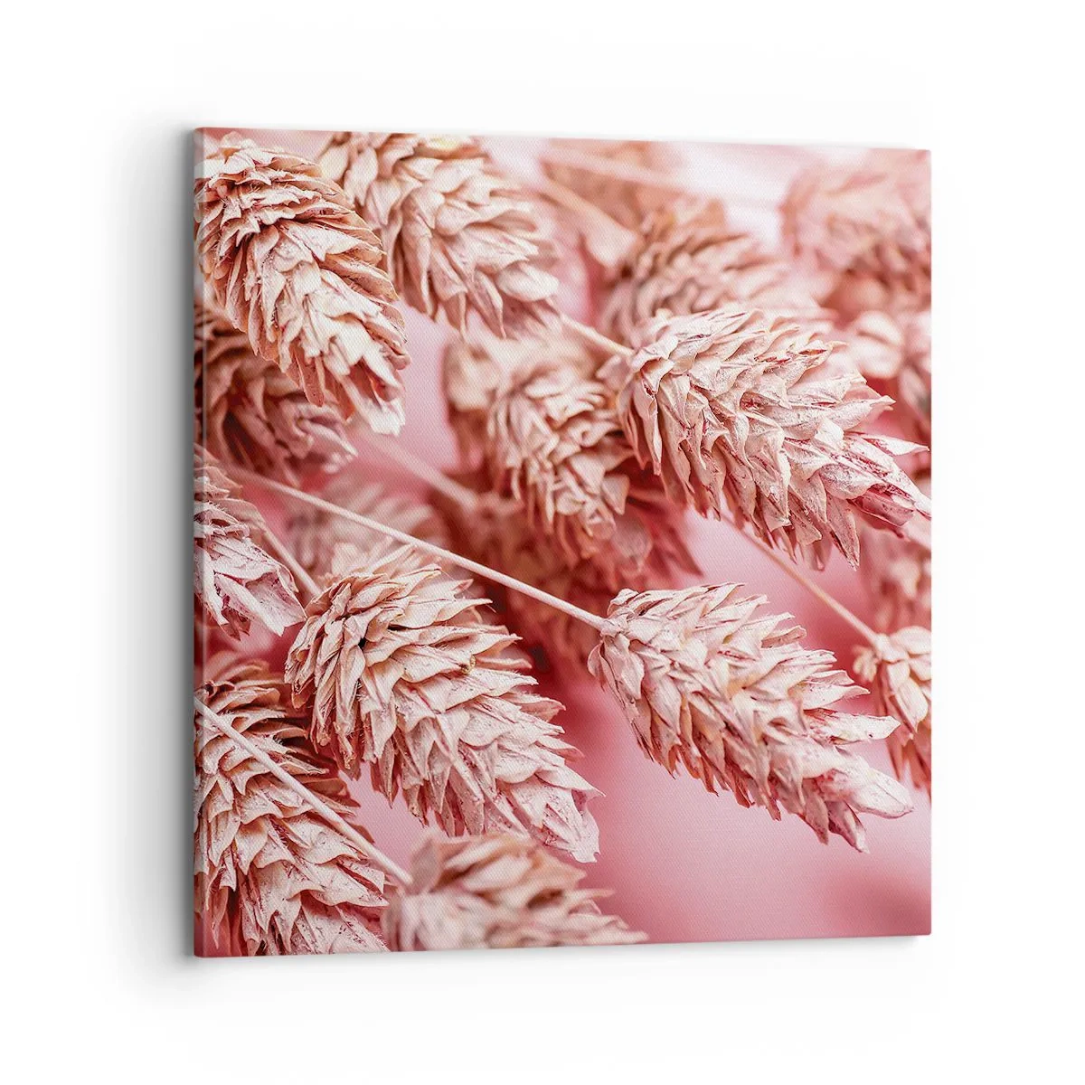 Cuadro sobre lienzo - Impresión de Imagen - Estructura floral en rosa - 70x70 cm