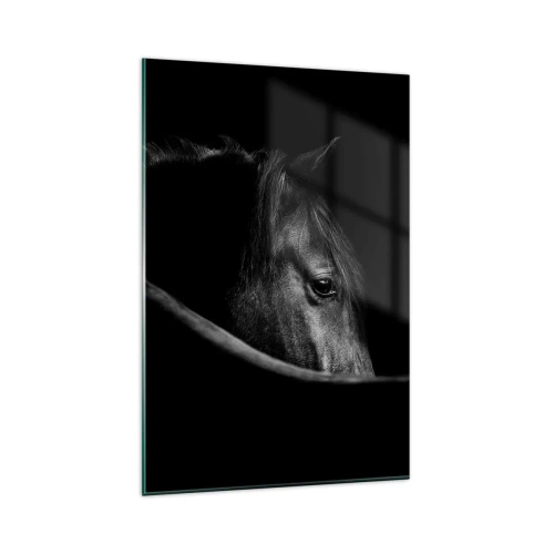 Cuadro sobre vidrio - Impresiones sobre Vidrio - Un retrato en blanco y negro de un caballo con un sutil juego de luces y sombras sobre un fondo oscuro. - 80x120cm - Príncipe negro - Decoración de pared moderna para salón y dormitorio ARTTOR