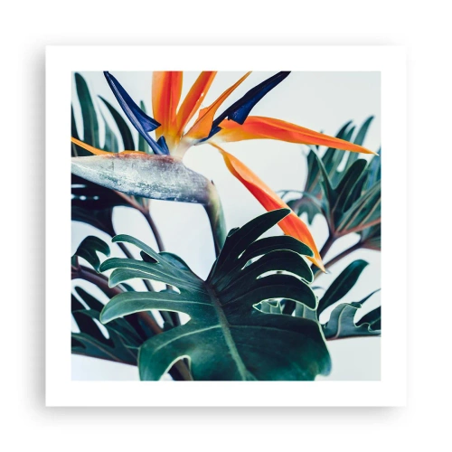 Póster - La jaula del pájaro colorido - 50x50 cm