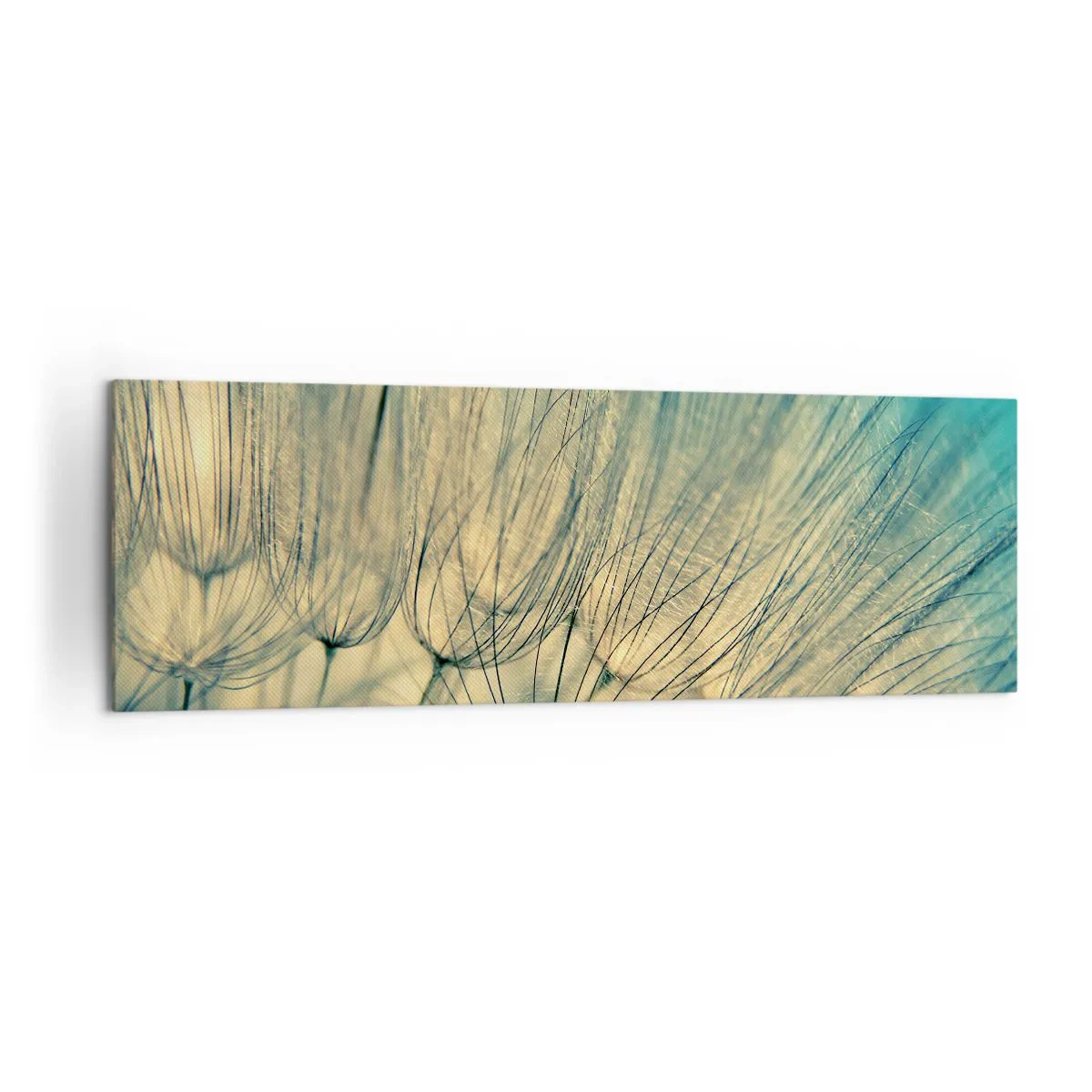 Cuadro sobre lienzo - Impresión de Imagen - Fotografía macro de dientes de león a la luz del día. - 160x50cm - Esperando el viento - Decoración de pared moderna para salón y dormitorio ARTTOR
