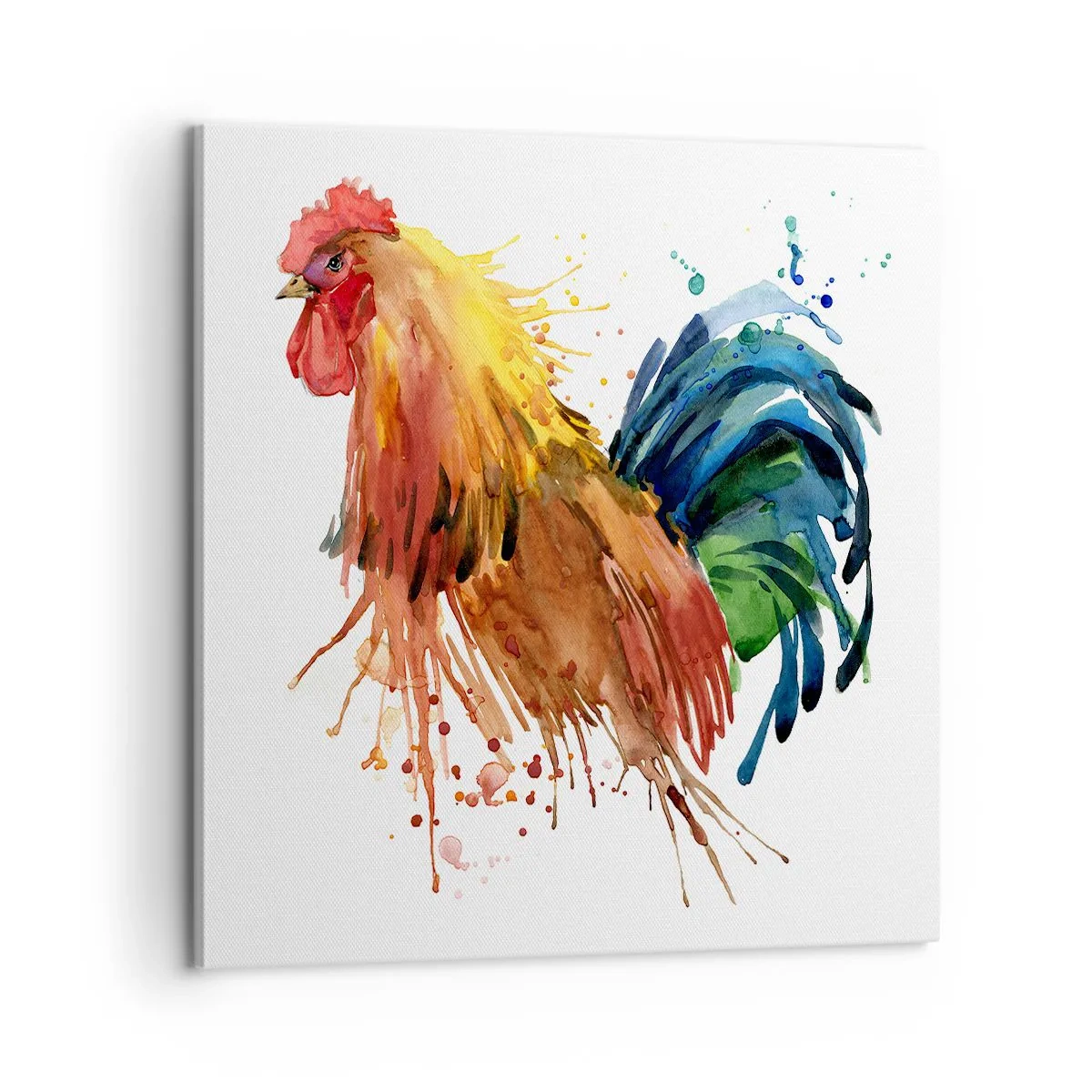 Cuadro sobre lienzo - Impresión de Imagen - Un manto real, un orgullo real - 60x60 cm