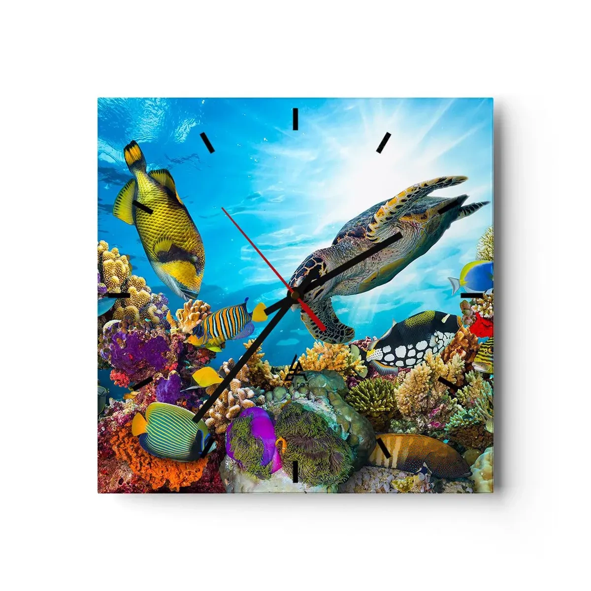 Reloj de pared - Reloj de vidrio - Paseo del coral - 40x40 cm