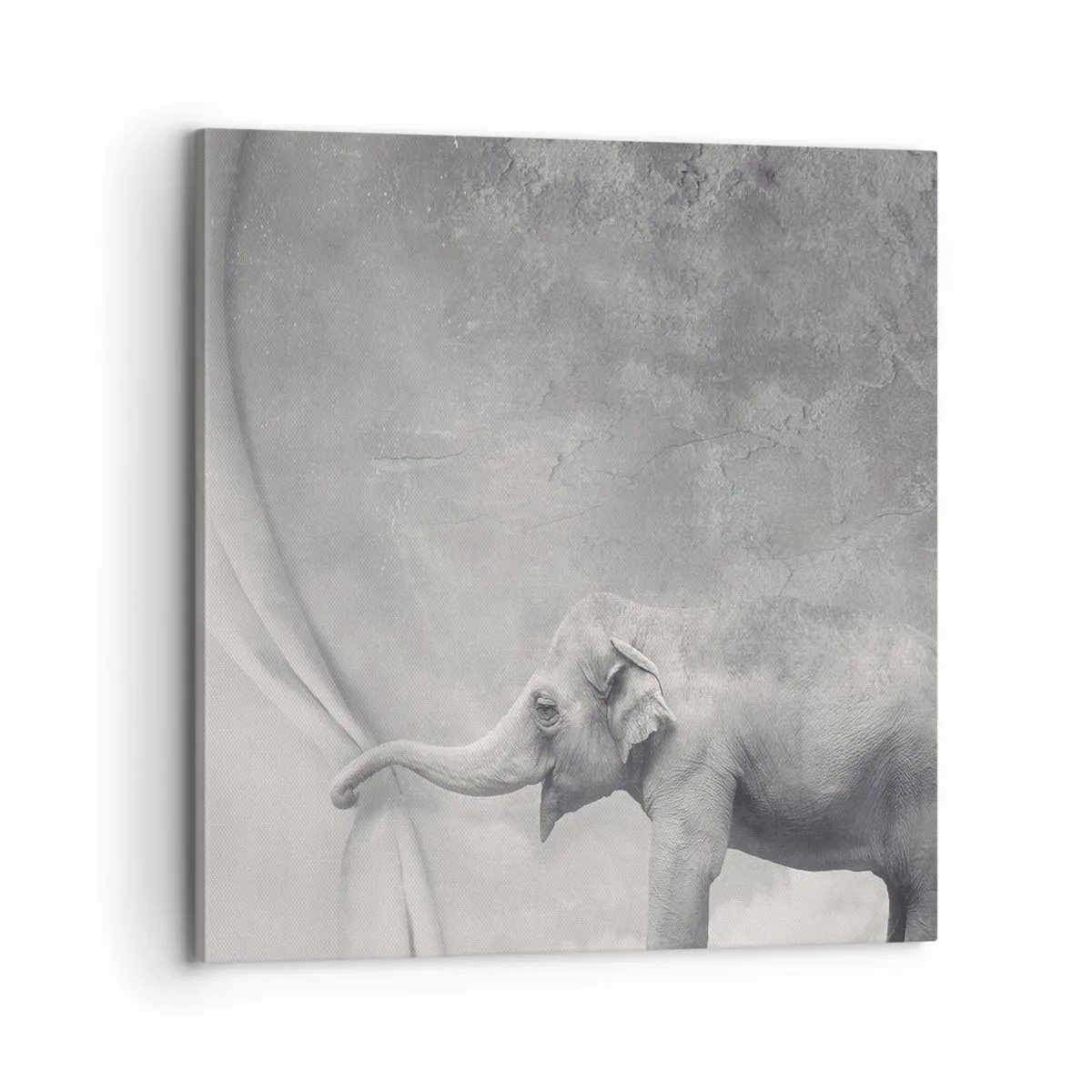 Cuadro sobre lienzo - Impresión de Imagen - Revelar el misterio - 70x70 cm