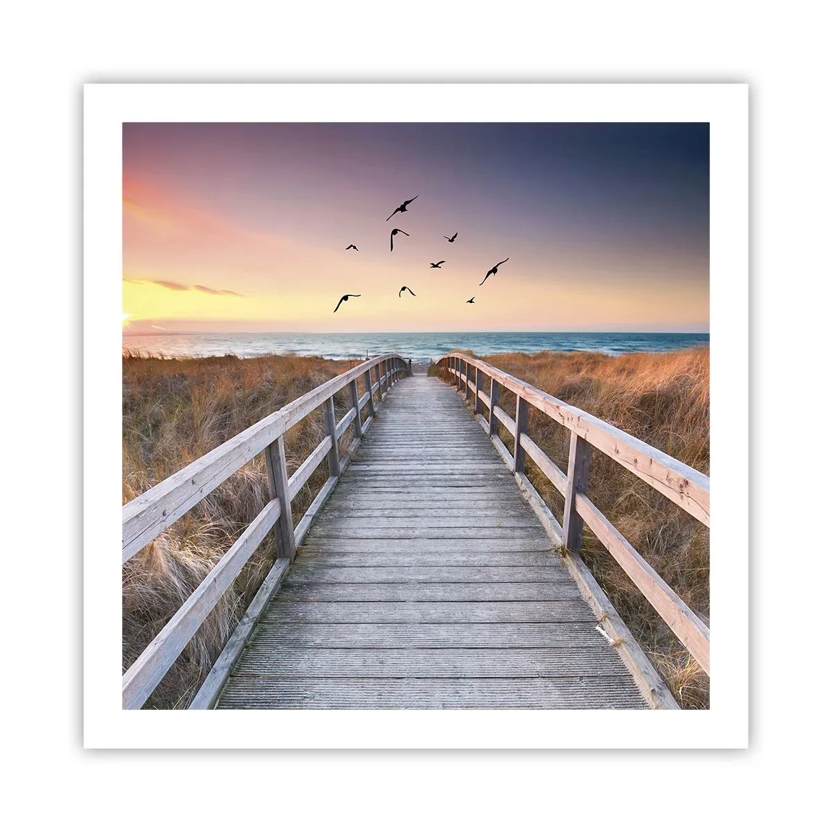 Póster - Camino a lo desconocido - 60x60 cm