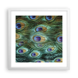 Póster en marco blanco - Mirada de pavo real - 40x40 cm
