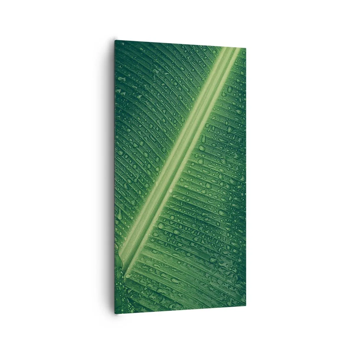 Cuadro sobre lienzo - Impresión de Imagen - Estructura del verde - 65x120 cm