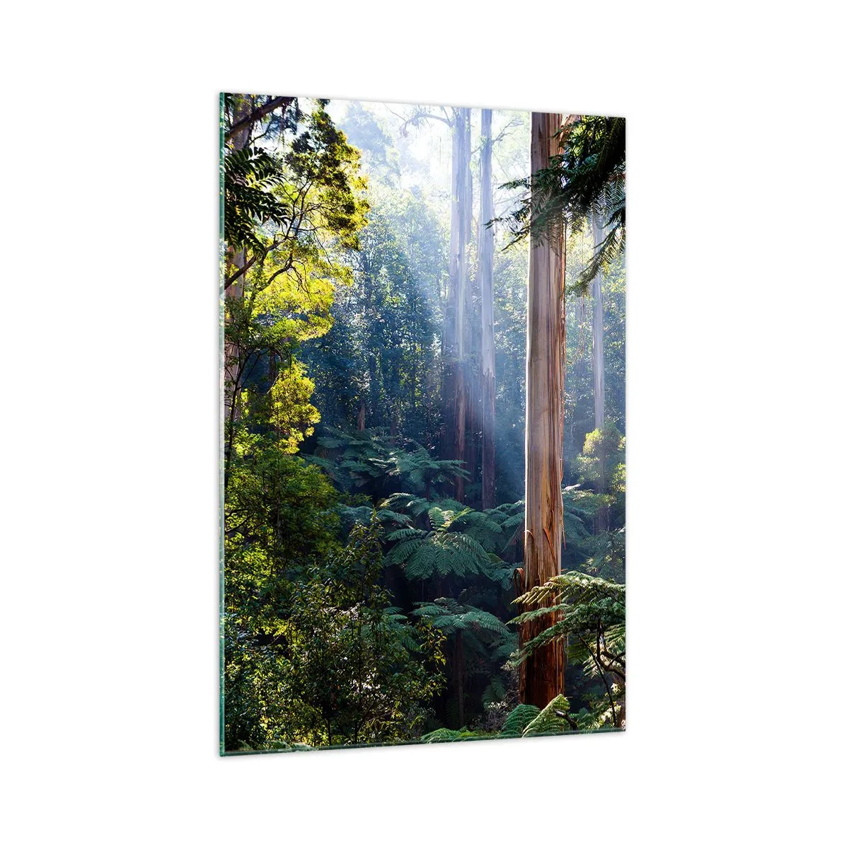 Cuadro sobre vidrio - Impresiones sobre Vidrio - Bosque tropical iluminado por los rayos del sol - 70x100cm - Un cuento de hadas del bosque - Decoración de pared moderna para salón y dormitorio ARTTOR