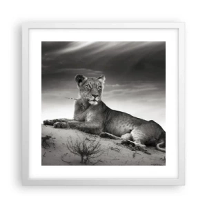 Póster en marco blanco - Descanso de la reina del desierto - 40x40 cm