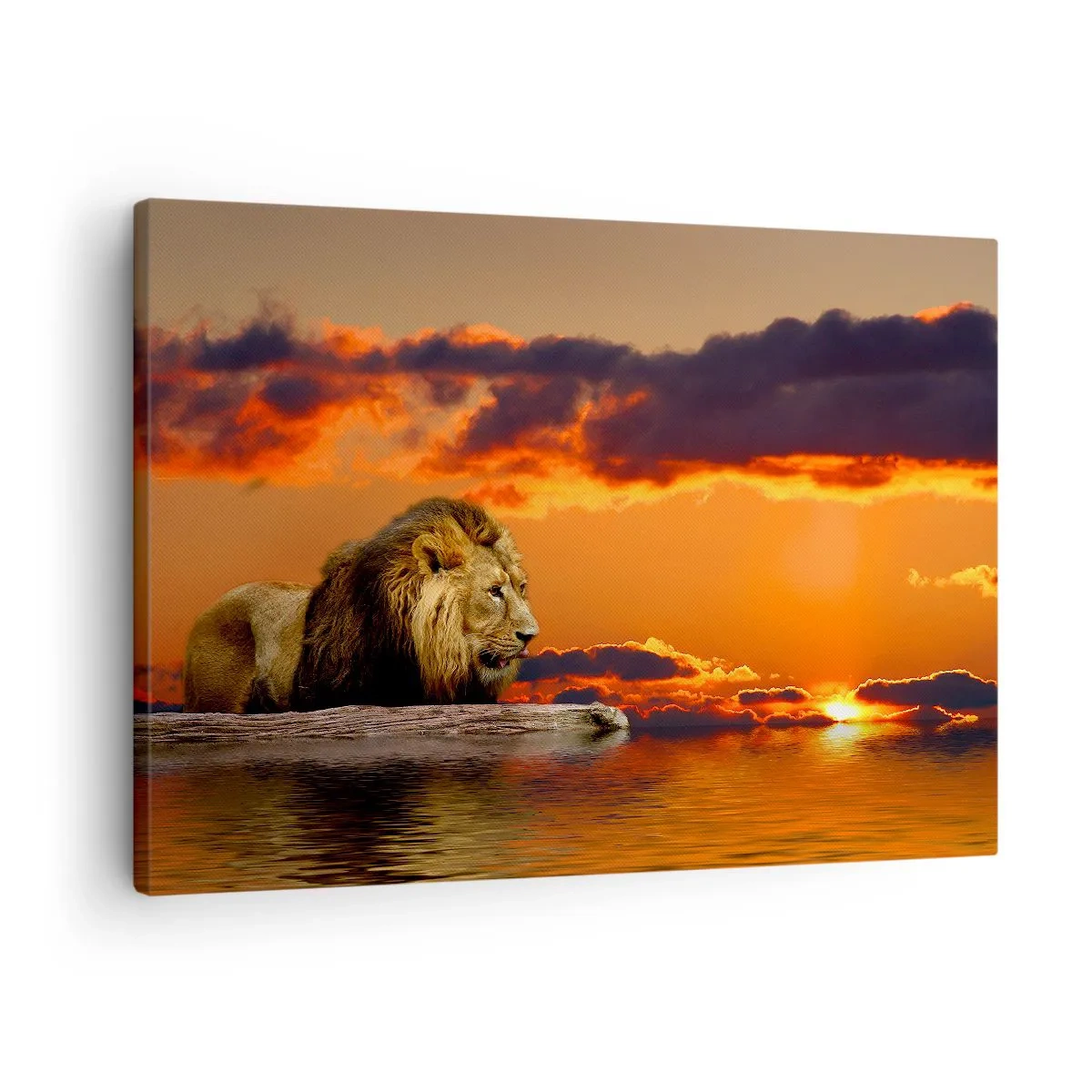 Cuadro sobre lienzo - Impresión de Imagen - Un león descansa junto al agua al atardecer con un cielo dramático. - 70x50cm - Rey de la naturaleza - Decoración de pared moderna para salón y dormitorio ARTTOR