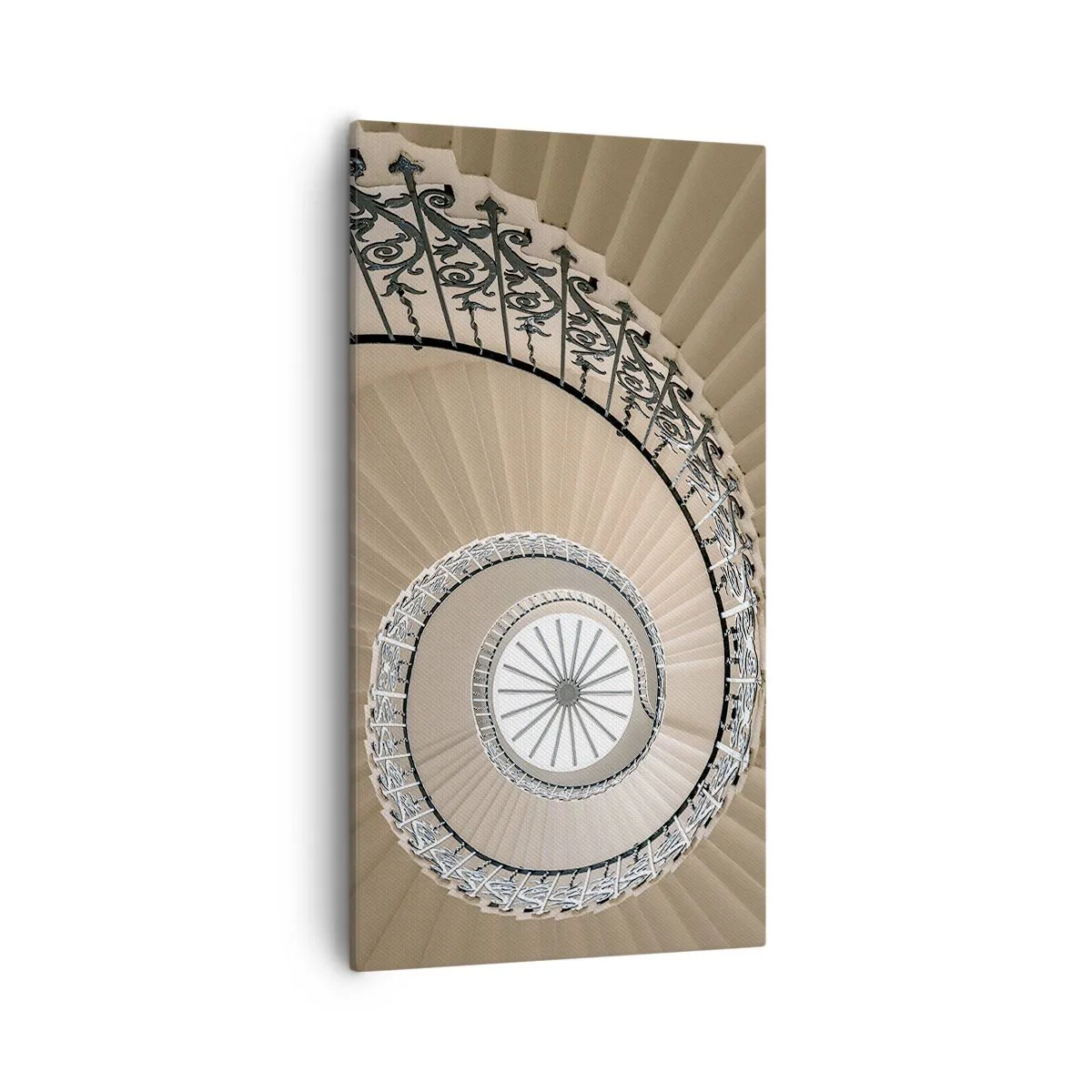 Cuadro sobre lienzo - Impresión de Imagen - En el interior de una concha - 55x100 cm