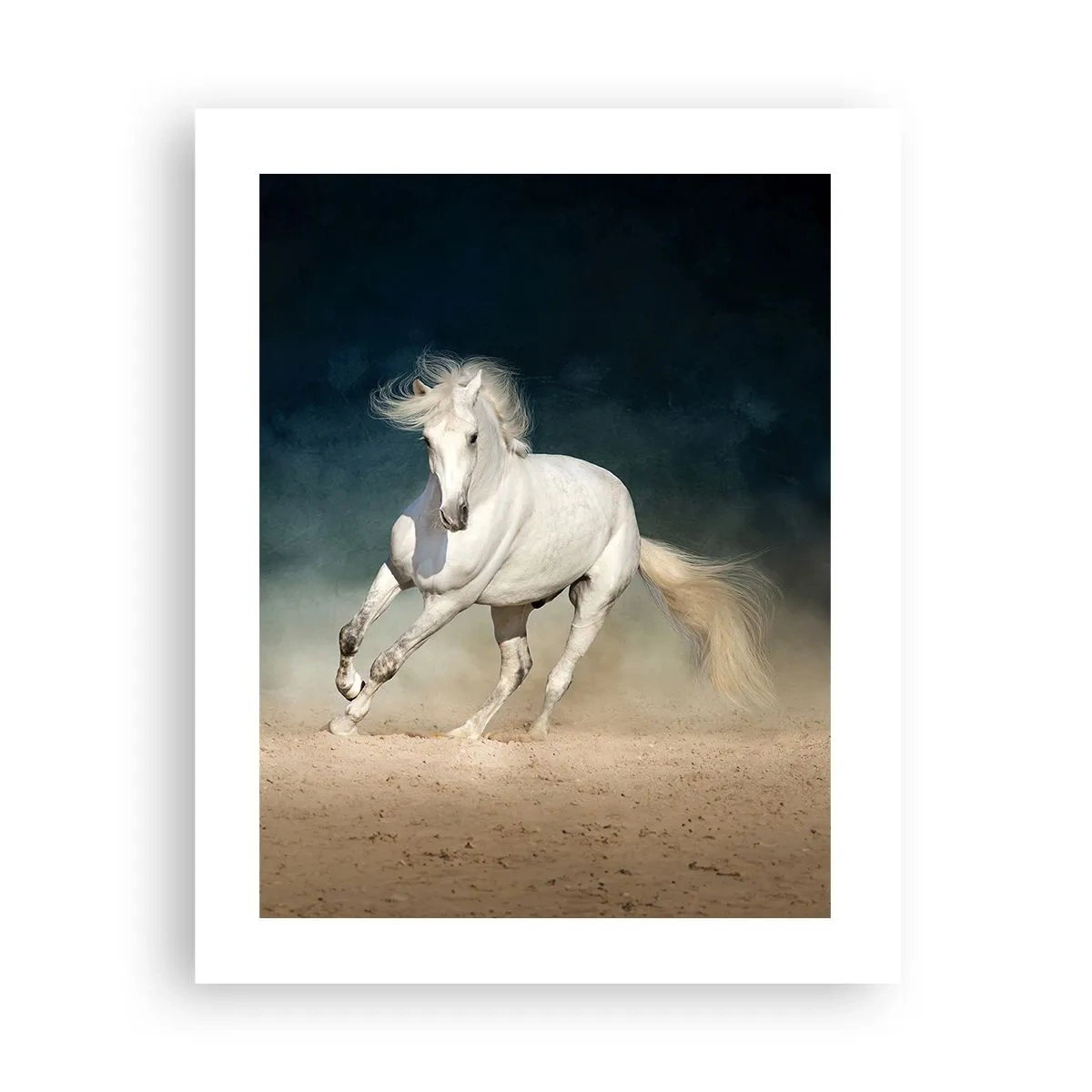 Póster - Libertad en estado puro - 40x50 cm