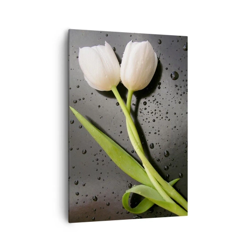 Cuadro sobre lienzo - Impresión de Imagen - Tulipanes blancos sobre fondo negro con gotas de agua. - 70x100cm - Primavera - Decoración de pared moderna para salón y dormitorio ARTTOR