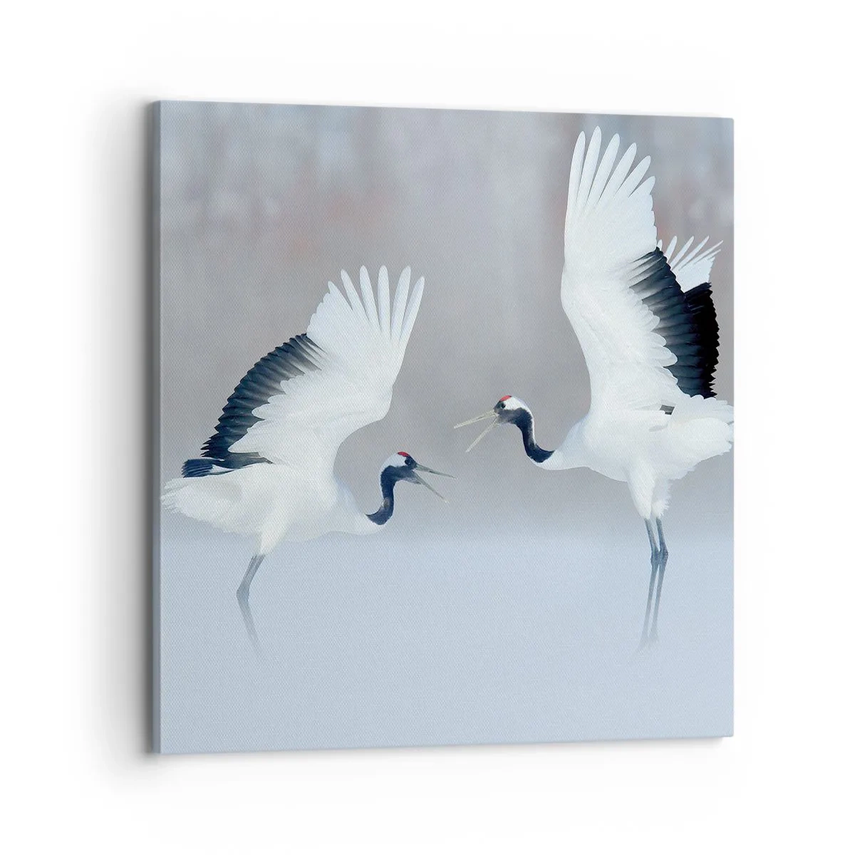 Cuadro sobre lienzo - Impresión de Imagen - Danza en la niebla - 70x70 cm