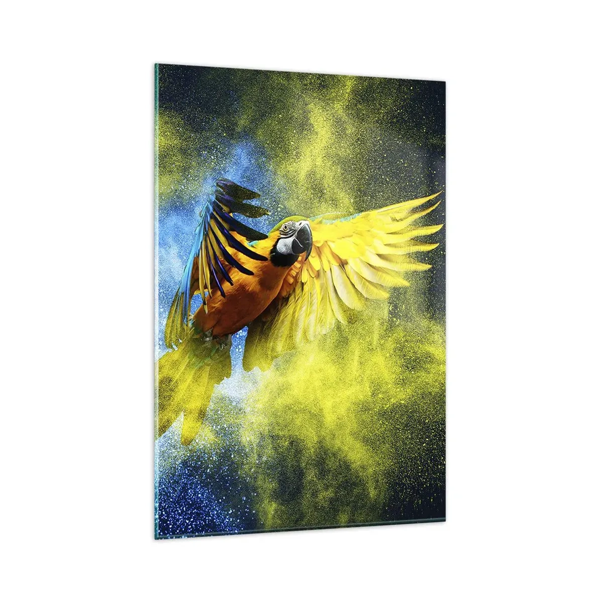 Cuadro sobre vidrio - Impresiones sobre Vidrio - Un loro en vuelo sobre un fondo de explosiones de colores amarillo y azul. - 80x120cm - En polvo azul y dorado - Decoración de pared moderna para salón y dormitorio ARTTOR