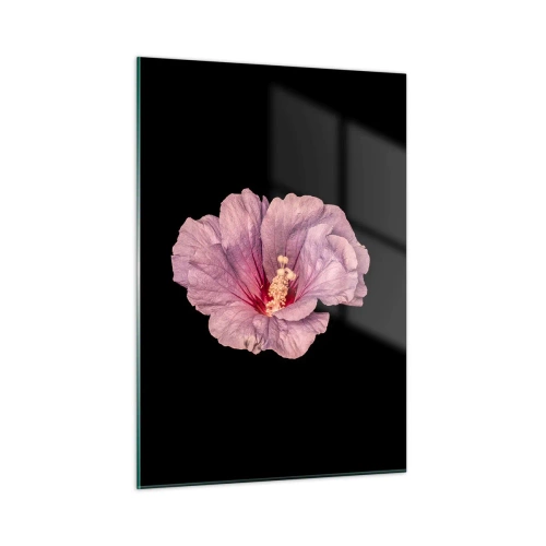 Cuadro sobre vidrio - Impresiones sobre Vidrio - Primer plano de una flor de hibisco rosa sobre un fondo negro - 50x70cm - Directo al corazón - Decoración de pared moderna para salón y dormitorio ARTTOR