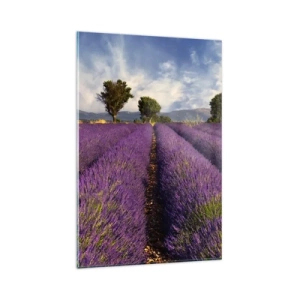 Cuadro sobre vidrio - Impresiones sobre Vidrio - Un campo de lavanda con árboles con el telón de fondo de montañas y cielo. - 80x120cm - Campos de lavanda - Decoración de pared moderna para salón y dormitorio ARTTOR