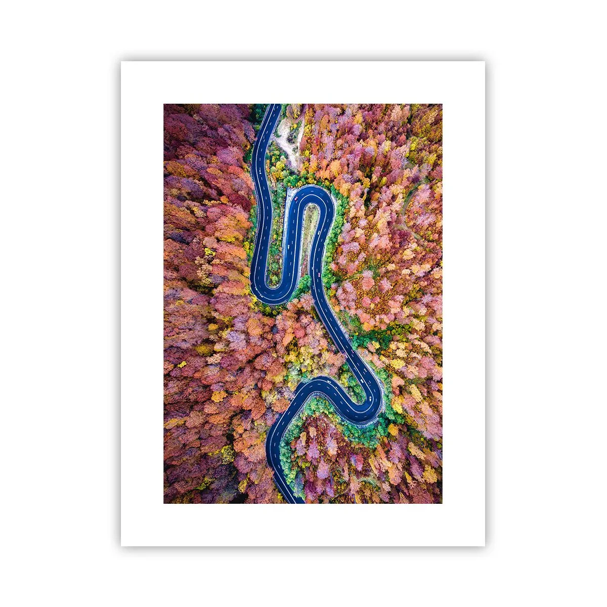 Póster - Un camino sinuoso a través del bosque - 30x40 cm