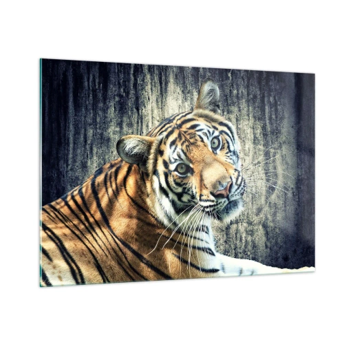 Cuadro sobre vidrio - Impresiones sobre Vidrio - Un tigre en pose natural frente a una pared sin pulir - 100x70cm - Retrato en corrientes de luz - Decoración de pared moderna para salón y dormitorio ARTTOR