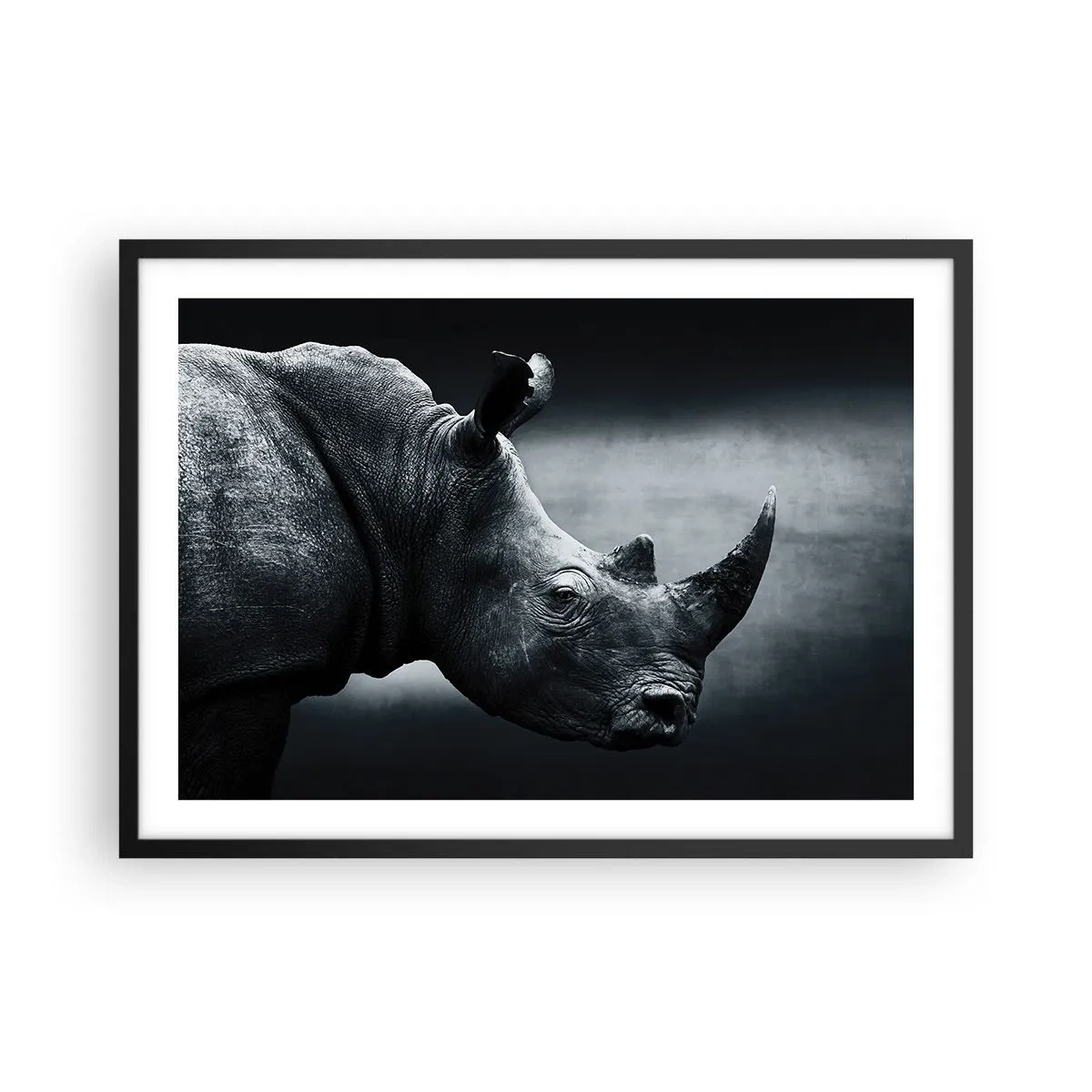 Póster en marco negro - Retrato en blanco y negro de un rinoceronte sobre un fondo oscuro. - 70x50cm - Perfil derecho - Decoración de pared moderna para salón y dormitorio ARTTOR