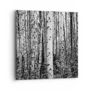 Cuadro sobre lienzo - Impresión de Imagen - Columnas de abedules - 40x40 cm