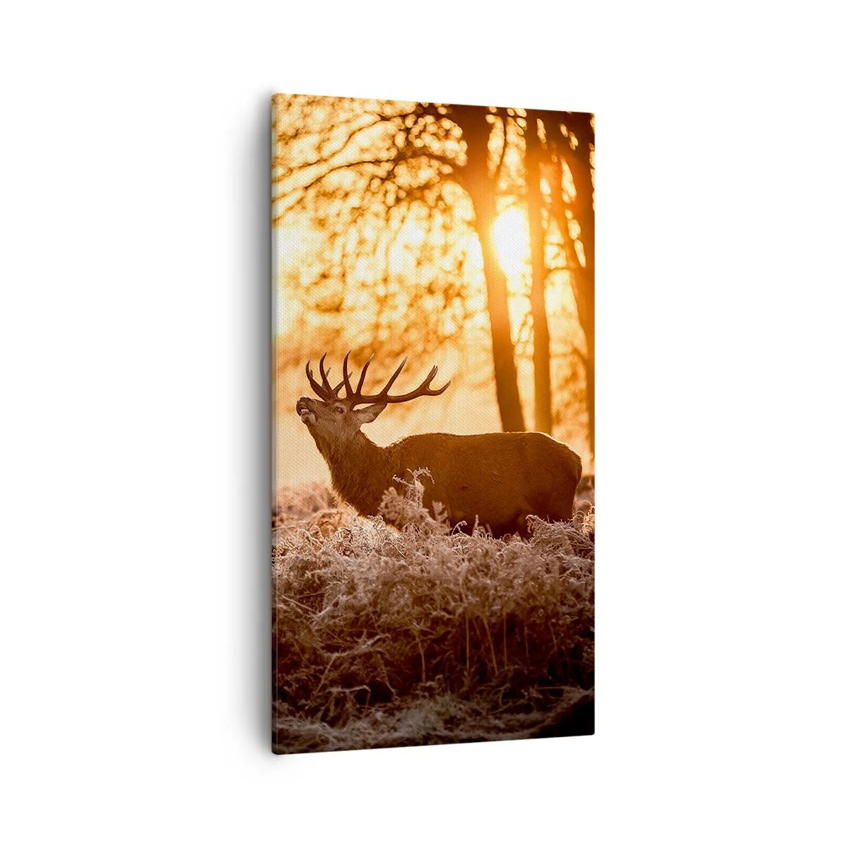 Cuadro sobre lienzo - Impresión de Imagen - El sueño de un cazador - 55x100 cm