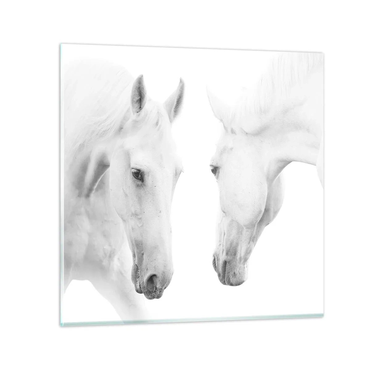 Cuadro sobre vidrio - Impresiones sobre Vidrio - ¿Es esto realmente la amistad...? - 30x30 cm