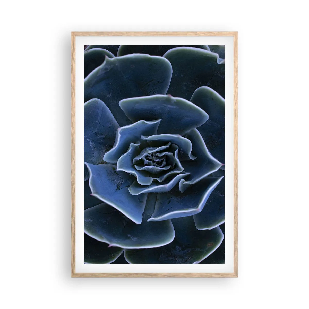 Póster en marco roble claro - Flor del desierto - 61x91 cm