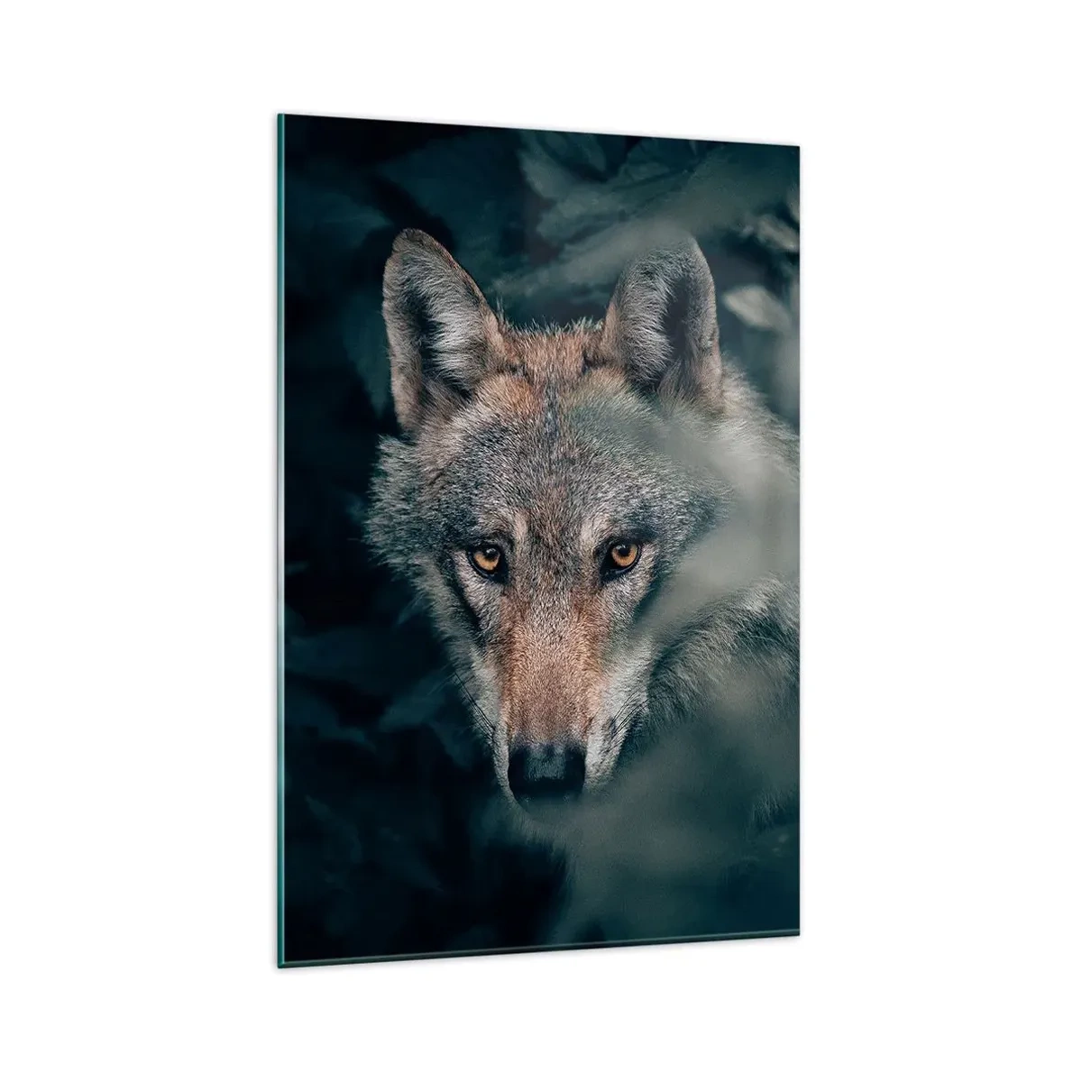 Cuadro sobre vidrio - Impresiones sobre Vidrio - Un lobo en su entorno natural, mirando desde las profundidades del bosque. - 80x120cm - Cazador - Decoración de pared moderna para salón y dormitorio ARTTOR
