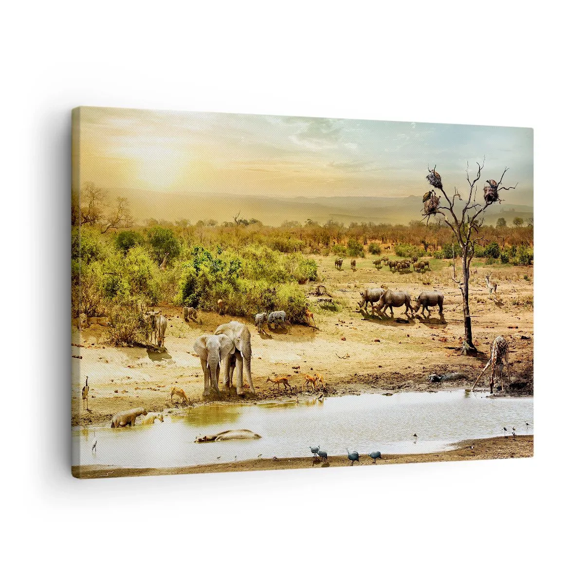 Cuadro sobre lienzo - Impresión de Imagen - Elefantes y animales salvajes en un abrevadero al atardecer - 70x50cm - Y del Edén fluyó un río... - Decoración de pared moderna para salón y dormitorio ARTTOR