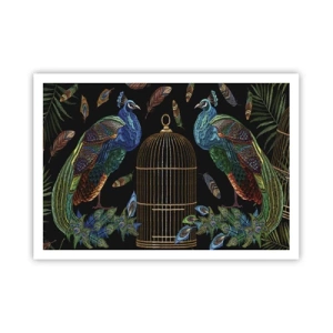 Póster - Pavos reales junto a una jaula dorada sobre un fondo negro - 100x70cm - Con plumajes reales - Decoración de pared moderna para salón y dormitorio ARTTOR