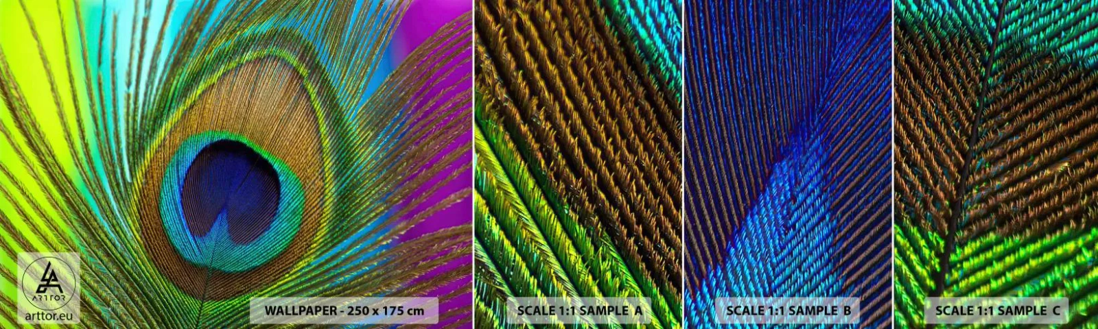 Muestra De Fotomural Standard Eco - Cara a cara - Abstracción, Pluma de pavo real, Pedazo - 100x30 cm