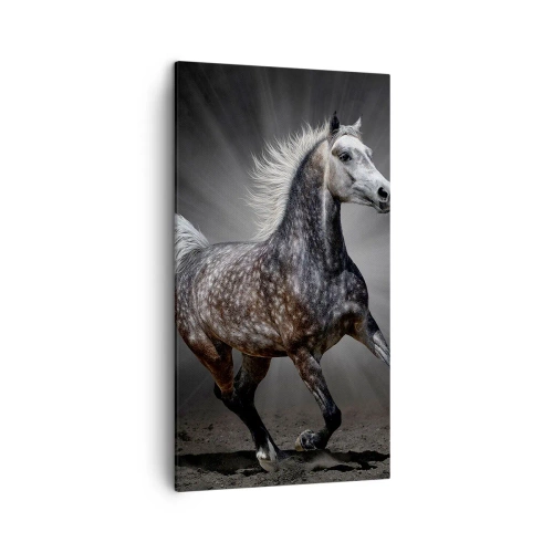 Cuadro sobre lienzo - Impresión de Imagen - El gris es hermoso - 45x80 cm