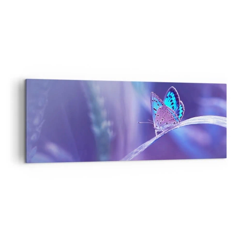 Cuadro sobre lienzo - Impresión de Imagen - Una delicada mariposa azul sobre un tallo en luz violeta. - 140x50cm - Una joya de la naturaleza - Decoración de pared moderna para salón y dormitorio ARTTOR